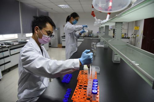 以技術(shù)為盾，護(hù)航人民健康 記開封市食藥檢驗(yàn)所的疫情逆行者